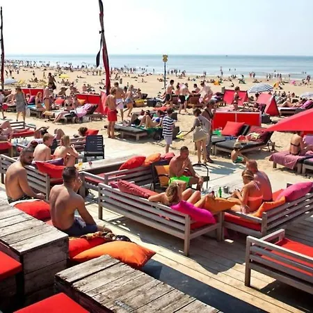 Apartment Super Cozy Near Scheveningen Beach!